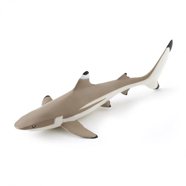 Blacktip shark figurine
