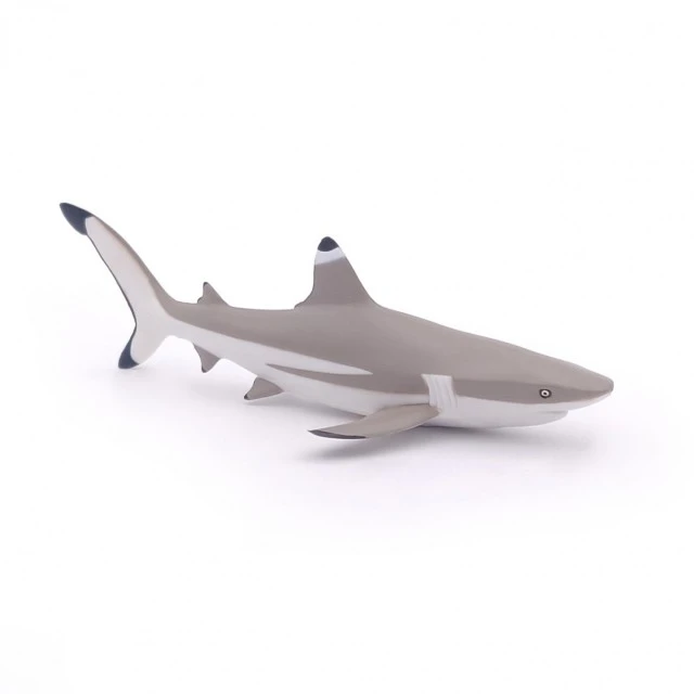 Blacktip shark figurine
