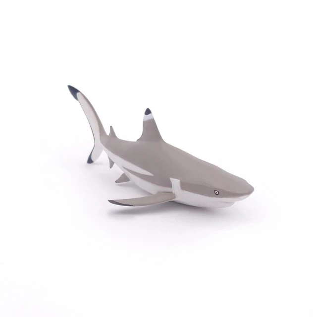 Blacktip shark figurine