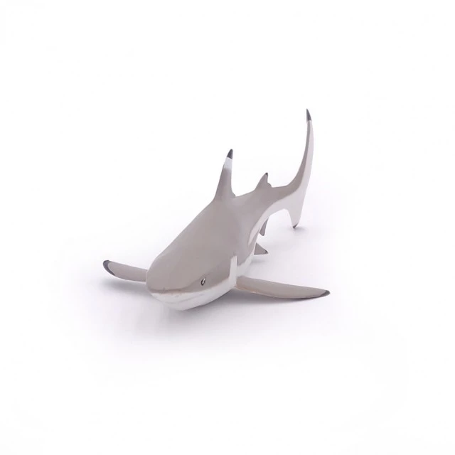 Blacktip shark figurine