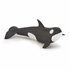 Baby killer whale figurine