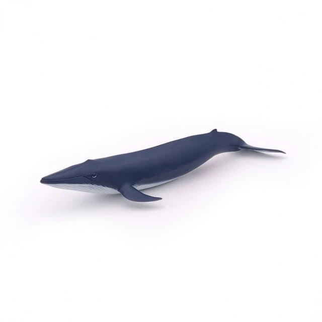 Baby blue whale figurine