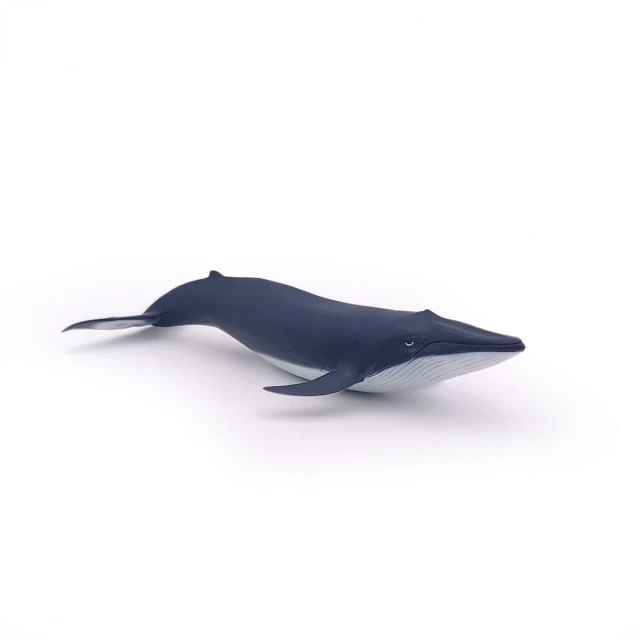 Baby blue whale figurine