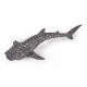 Juvenile whale shark figurine