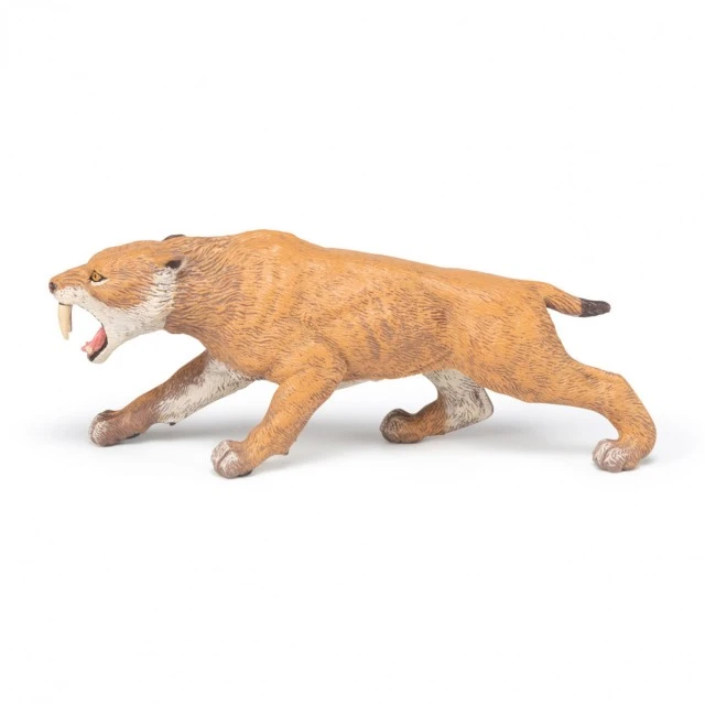 Sabre-toothed tiger smilodon