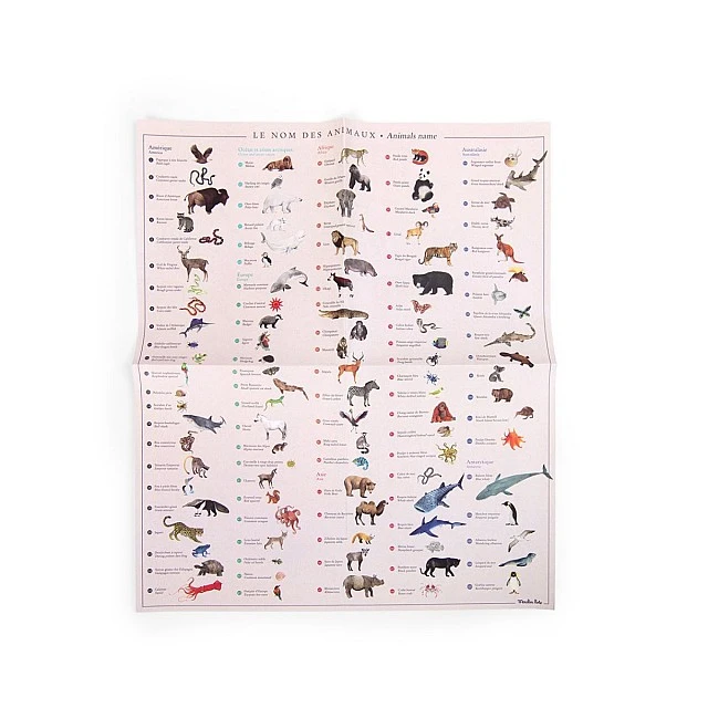 World map with stickers