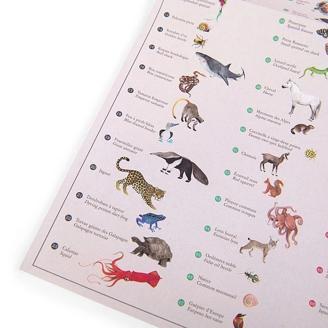World map with stickers