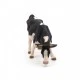 Black and white grazing cow figurine