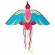 Kite bird