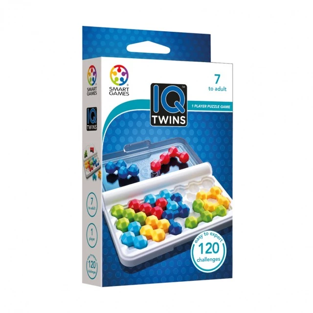 Logic game IQ twins