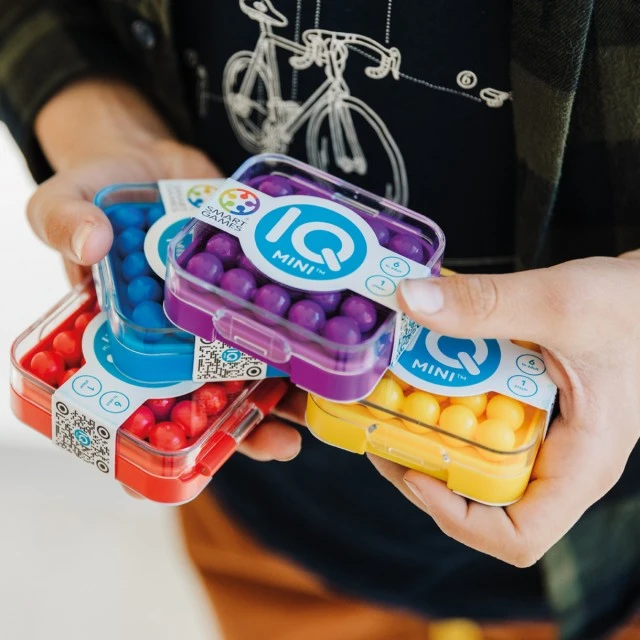 Logic game IQ mini