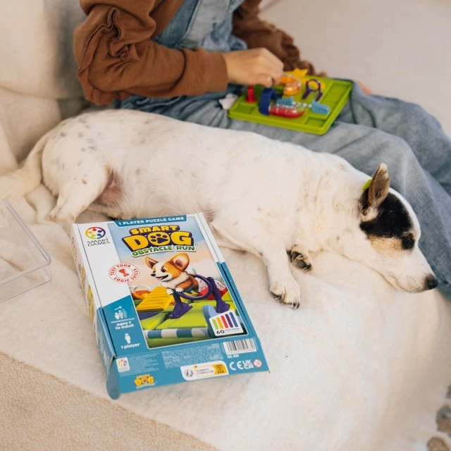 Puzzle game smart dog