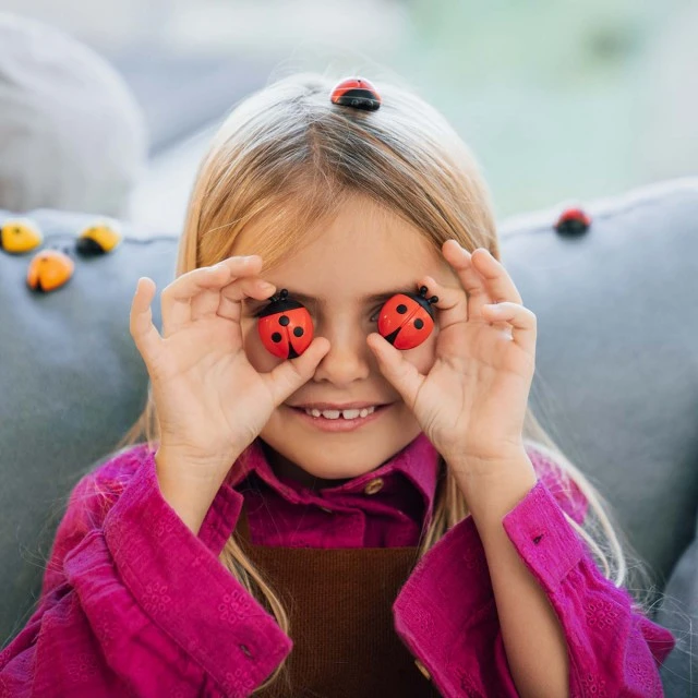 Ladybug puzzle game