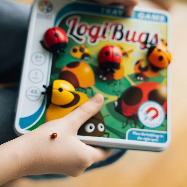 Ladybug puzzle game