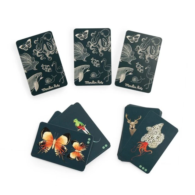 Card game I seek and find everywhere in the world