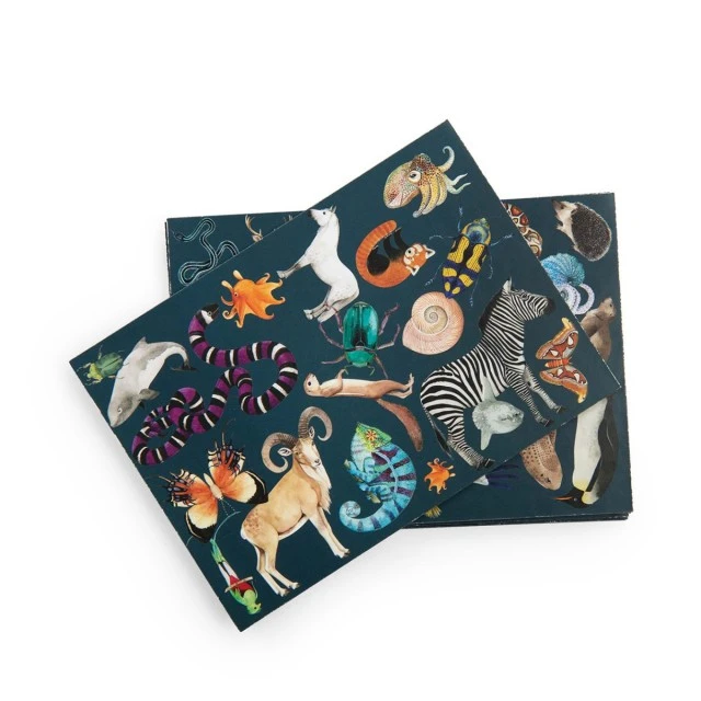Card game I seek and find everywhere in the world