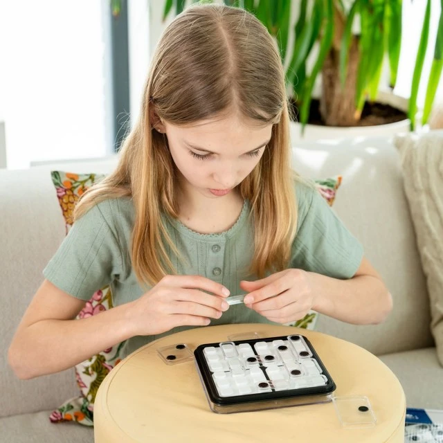 Logic game dice deduction