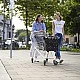 Carrycruiser Shopping Cart Dot Color