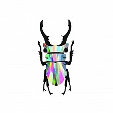 3d model for assembly Stag beetle Color multicolor