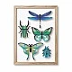 3d models for assembly insects Color green