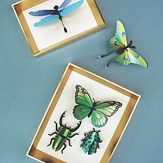3d models for assembly insects Color green
