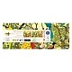 Puzzle Magnificent Birds 1000 pieces Djeco