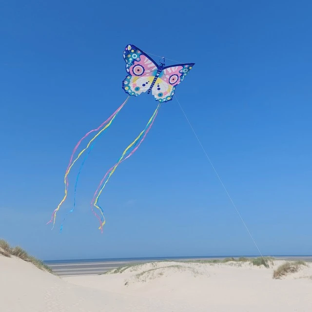 Butterfly kite maxi size