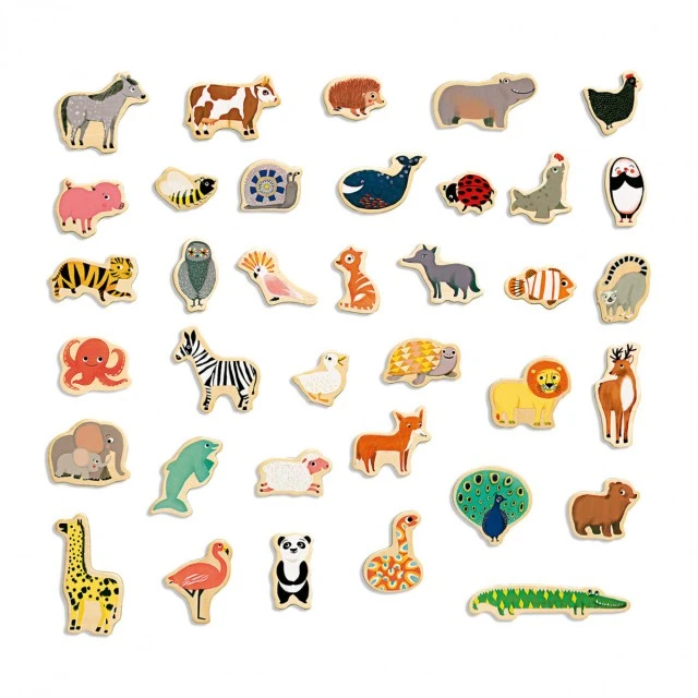 Wooden magnets magnimo