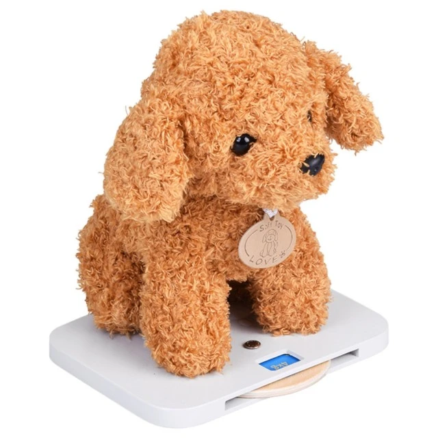 Children’s Veterinary Clinic Toy GINGER HOME – Wooden Veterinary Center with Accessories and Plush Dog, 89×57×30 cm