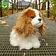 Плюшено Куче Кинт Чарлз Шпаньол седящо 25 см.