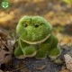 Плюшена Жабка 16 см.