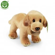 Plush Labrador dog standing 20 cm.