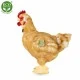 Плюшена Домашна кокошка с яйце 33 см.