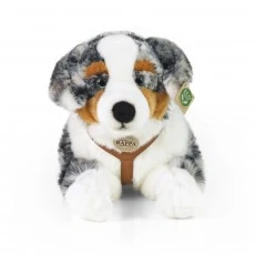 Голямо куче Австралийска овчарка с нагръдник 61 см. лежащо