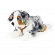 Голямо куче Австралийска овчарка с нагръдник 61 см. лежащо