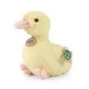 Plush Yellow duck 24 cm.