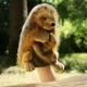 Theater doll Hedgehog 25 cm.