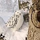 Plush White Owl with rotating head 28 cm.