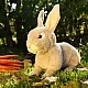 Plush Gray Bunny Sitting 23 cm. Soft Collection series