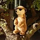 Plush Meerkat standing 23 cm. Soft Collection series