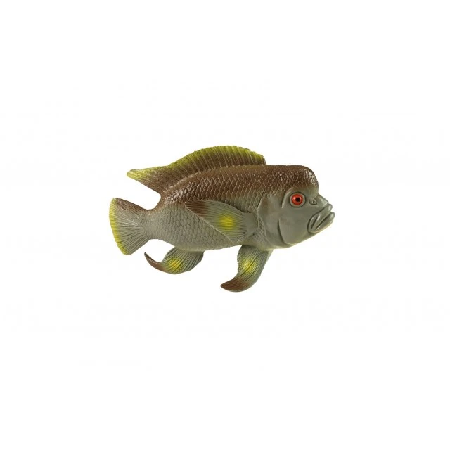 Figurine Tropical Fish Cichlid 24 cm.