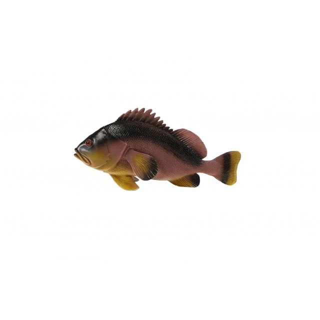 Fish Figurine - Longtooth Gruter 25 cm.
