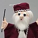 Magician theater doll 29 cm.