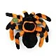 Plush toy Spider Tarantula 20 cm. PLUSH WORLD series