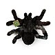 Plush toy Black Spider 20 cm. PLUSH WORLD series