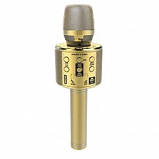 Kids party microphone with LED lights - gold