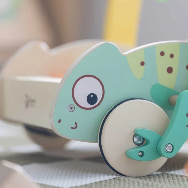 Wooden walker Classic World Chameleon with wooden blocks for babies