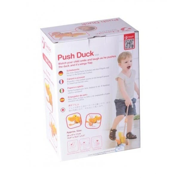 Push wooden duck