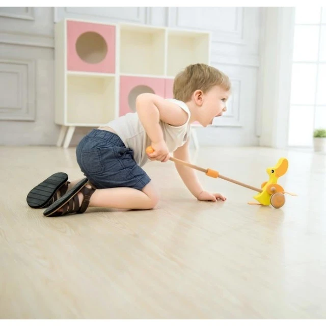 Push wooden duck