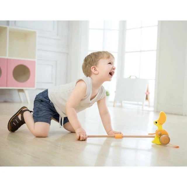 Push wooden duck